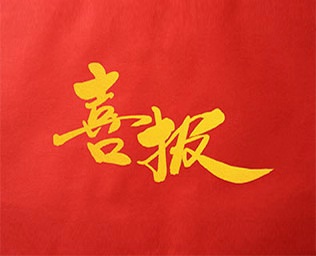 喜報(bào)|伊視貝項(xiàng)目入選政府重點(diǎn)攻關(guān)項(xiàng)目庫